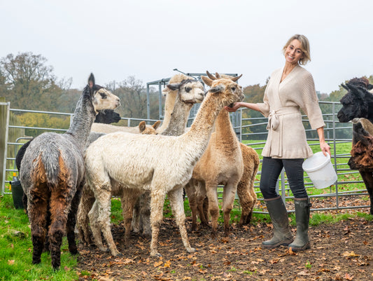 Claire Turner with her alpacas in the New Forest