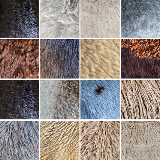 many different colours of alpaca fleece