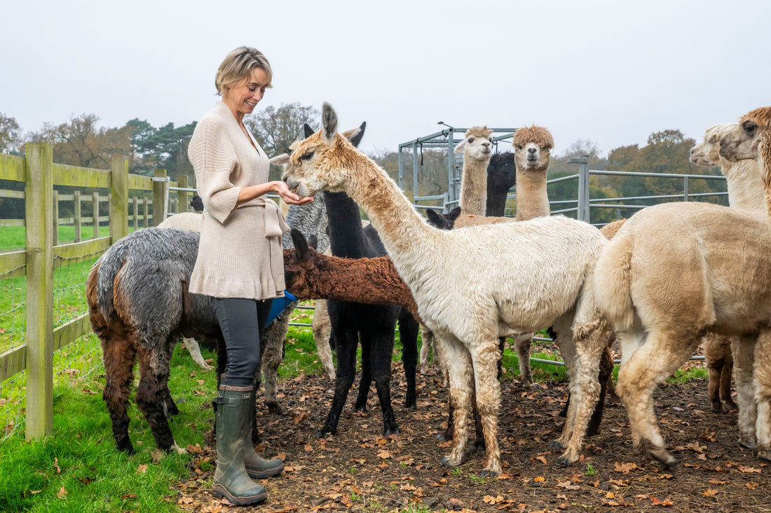 Gift with Heart: The Allure of Alpaca Apparel for Eco-Conscious Loved Ones