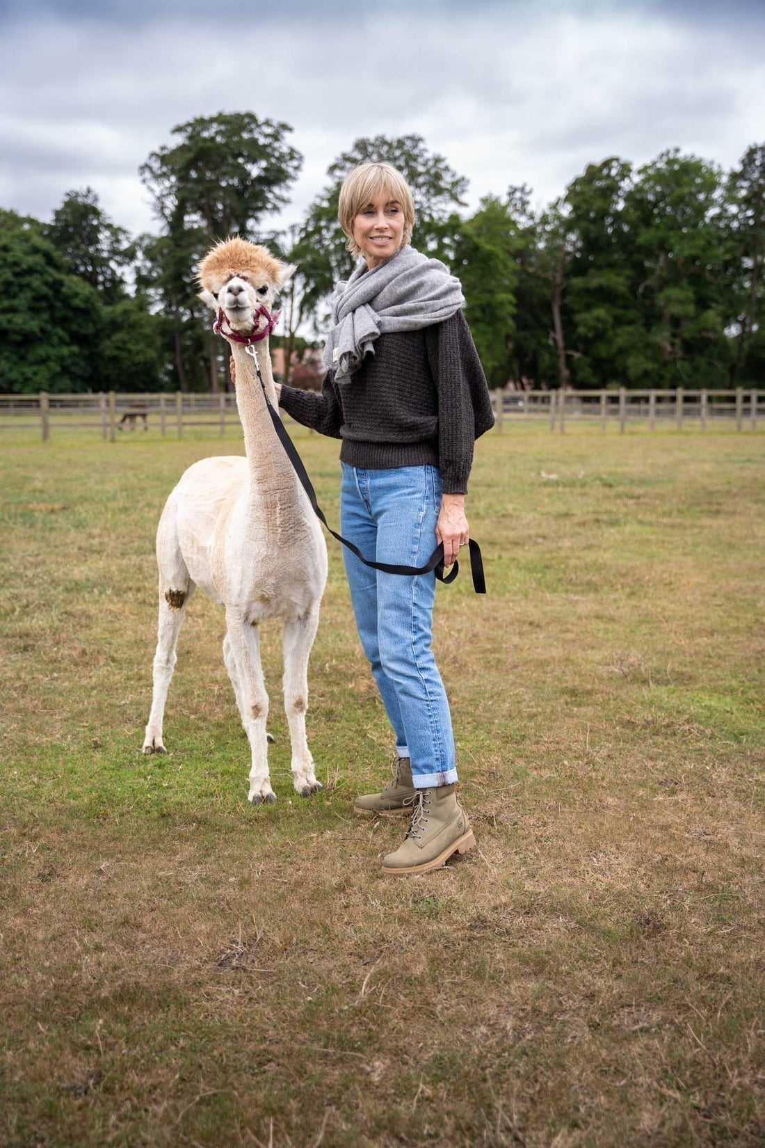 Alpaca Knitwear 