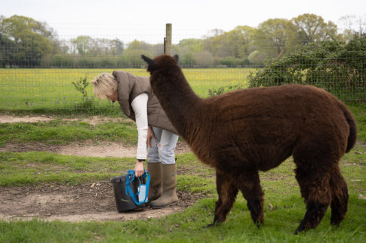 Embrace British Alpaca Apparel: Sustainable Fashion Rooted in Biodiversity