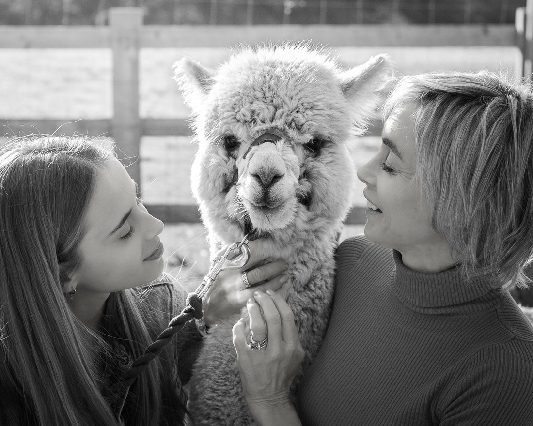 The Trusted Place to Buy Alpaca Wraps as a Gift