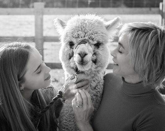 The Trusted Place to Buy Alpaca Wraps as a Gift