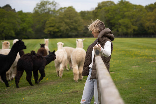 Regenerative Farming and Herd Alpaca Apparel: A Perfect Pair